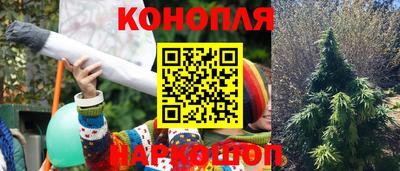 герыч Долгопрудный