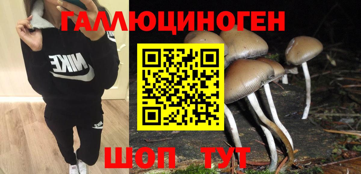 Горячий Ключ  Псилоцибиновые грибы прущие грибы  Псилоцибиновые грибы Psilocybe  Вход с VPN 